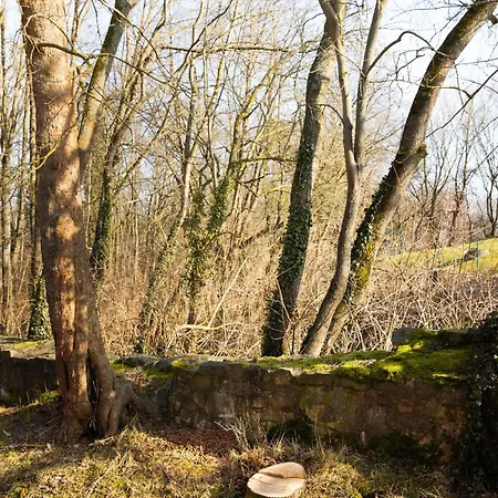 Apartament Mit Stil Georgenthal (Thuringia)