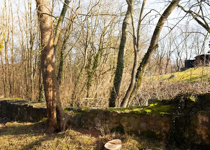 Apartament Mit Stil Georgenthal (Thuringia)